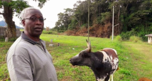 Ndendé : Raymond Ndong Sima défend le projet bovin et répond aux accusations