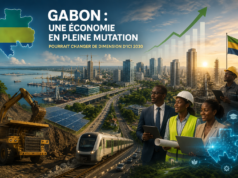 Gabon : une économie en pleine mutation pourrait changer de dimension d’ici 2030