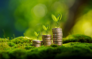 Gabon : de nouveaux financements pour relancer les projets essentiels et rassurer les partenaires