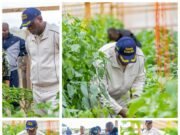 Nyanga : la ferme Manfila, symbole discret mais concret de la relance agricole gabonaise