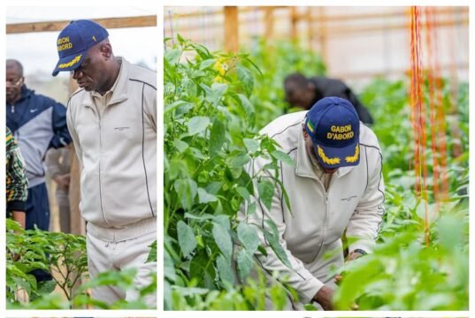 Nyanga : la ferme Manfila, symbole discret mais concret de la relance agricole gabonaise