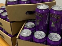 Bissap modernisé : BEEZAP impose une nouvelle vision de la boisson locale