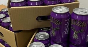Bissap modernisé : BEEZAP impose une nouvelle vision de la boisson locale