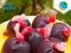 Alimentation de rue sous pression : entre exigences sanitaires et réalités du quotidien