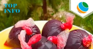 Alimentation de rue sous pression : entre exigences sanitaires et réalités du quotidien
