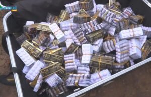 Libreville : un réseau de trafic de psychotropes démantelé près de l’IAI