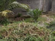 Nzeng-Ayong : une histoire de cœur vire à l’affrontement en pleine rue