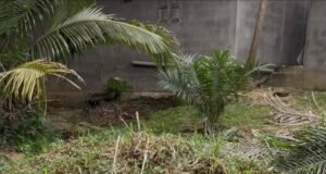 Nzeng-Ayong : une histoire de cœur vire à l’affrontement en pleine rue