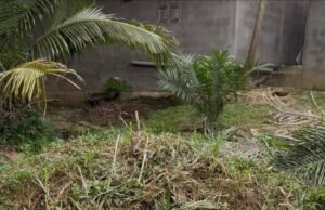 Nzeng-Ayong : une histoire de cœur vire à l’affrontement en pleine rue