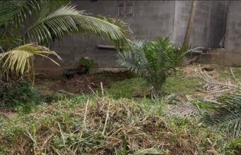 Nzeng-Ayong : une histoire de cœur vire à l’affrontement en pleine rue