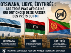 Botswana, Libye, Érythrée : ces trois pays africains qui ont choisi de se passer des prêts du FMI