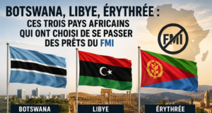 Botswana, Libye, Érythrée : ces trois pays africains qui ont choisi de se passer des prêts du FMI