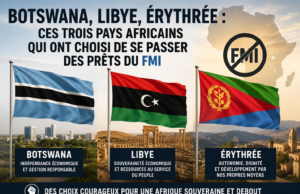 Botswana, Libye, Érythrée : ces trois pays africains qui ont choisi de se passer des prêts du FMI