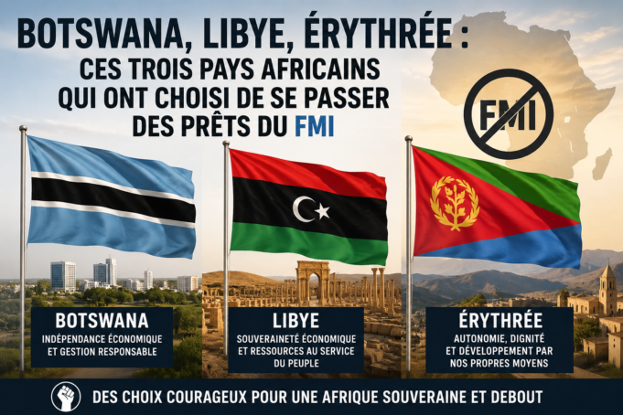 Botswana, Libye, Érythrée : ces trois pays africains qui ont choisi de se passer des prêts du FMI