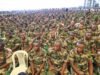 Gabon : vers une production nationale des uniformes militaires, le projet de loi franchit une nouvelle étape
