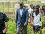 Gabon : Oligui Nguema mise sur l’agriculture pour réduire la dépendance alimentaire du pays