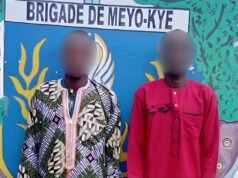 Gabon : partis du Tchad avec l’espoir d’une nouvelle vie, deux migrants arrêtés avant d’atteindre leur destination
