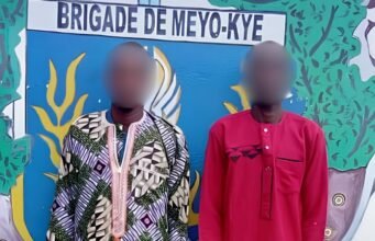 Gabon : partis du Tchad avec l’espoir d’une nouvelle vie, deux migrants arrêtés avant d’atteindre leur destination