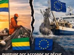 Pêche : le Gabon met fin à son partenariat avec l’Union européenne et affirme sa souveraineté maritime