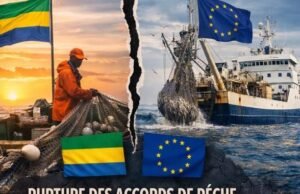 Pêche : le Gabon met fin à son partenariat avec l’Union européenne et affirme sa souveraineté maritime
