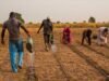Nigeria : Abuja lance un fonds de 500 millions de dollars pour faire de l’agriculture un nouveau moteur de croissance