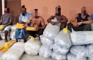 Gabon : un réseau international de trafic de cannabis démantelé, plus de 1,3 tonne de drogue saisie