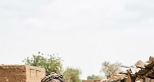Afrique : deux habitants sur trois n’ont pas les moyens de manger sainement, l’alerte alimentaire s’aggrave