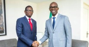 Forêt, pétrole, manganèse : le Gabon veut enfin mesurer ce que ses richesses rapportent réellement