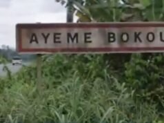 Gabon : une plantation clandestine de cannabis découverte à quelques kilomètres de Kango, un homme de 51 ans interpellé