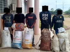 Mabanda : une cargaison de 66 kg de cannabis et 1 373 comprimés de Tramadol estimée à 10 052 500 FCFA saisie, cinq orpailleurs interpellés