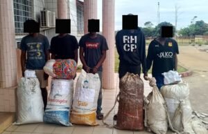 Mabanda : une cargaison de 66 kg de cannabis et 1 373 comprimés de Tramadol estimée à 10 052 500 FCFA saisie, cinq orpailleurs interpellés