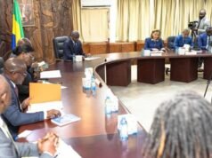Libreville : face au manque de places et aux difficultés de prise en charge à Melen, le gouvernement prépare un plan d’urgence