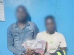 Bakoumba : deux Congolais interpellés dans la forêt de la Lékédi avec 1 600 gélules de Tramadol