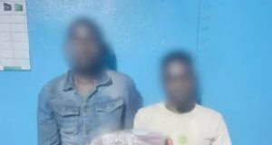 Bakoumba : deux Congolais interpellés dans la forêt de la Lékédi avec 1 600 gélules de Tramadol