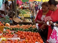 Gabon : les prix flambent, les salaires ne suivent pas et les familles peinent à joindre les deux bouts… produire localement peut il enfin faire baisser la vie chère ?