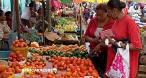 Gabon : les prix flambent, les salaires ne suivent pas et les familles peinent à joindre les deux bouts… produire localement peut il enfin faire baisser la vie chère ?