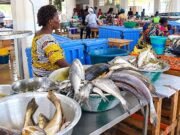 Sécurité alimentaire : exposés plusieurs heures à la chaleur, les aliments peuvent devenir dangereux sans modifier leur odeur, leur goût ou leur apparence, les consommateurs appelés à la vigilance