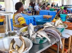Sécurité alimentaire : exposés plusieurs heures à la chaleur, les aliments peuvent devenir dangereux sans modifier leur odeur, leur goût ou leur apparence, les consommateurs appelés à la vigilance