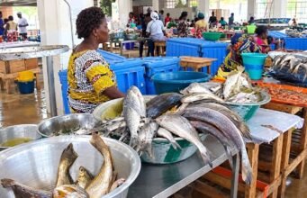 Sécurité alimentaire : exposés plusieurs heures à la chaleur, les aliments peuvent devenir dangereux sans modifier leur odeur, leur goût ou leur apparence, les consommateurs appelés à la vigilance
