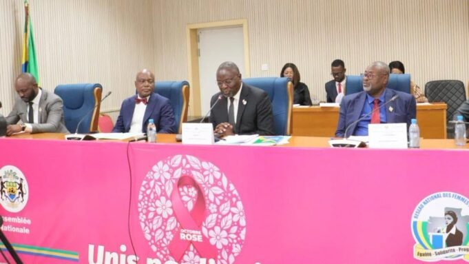 Gabon : une nouvelle proposition de loi relance la pénalisation de l’homosexualité à l’Assemblée nationale, plusieurs députés réclament un durcissement du Code pénal