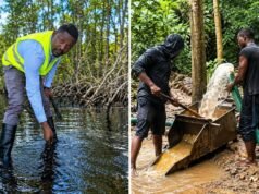 Gabon : 19 personnes interpellées à Minkébé, entre orpaillage illégal et destruction des mangroves, jusqu’où ira le pillage de nos ressources naturelles ?