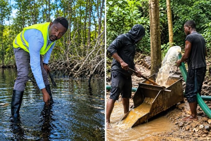 Gabon : 19 personnes interpellées à Minkébé, entre orpaillage illégal et destruction des mangroves, jusqu’où ira le pillage de nos ressources naturelles ?