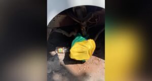 Gabon : arrêté pour avoir utilisé le drapeau national lors d’une réparation, le mécanicien se défend : « Je ne savais pas que c’était interdit »