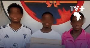 Gabon : 1,35 million FCFA de stupéfiants saisis à Makokou, trois jeunes de 19 à 22 ans interpellés