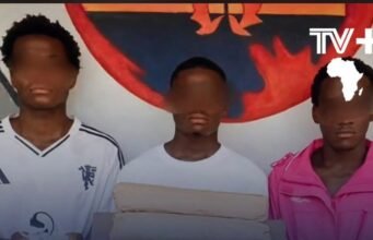 Gabon : 1,35 million FCFA de stupéfiants saisis à Makokou, trois jeunes de 19 à 22 ans interpellés