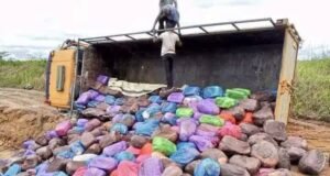 Gabon : le manioc en sachet réapparaît à Lebamba malgré l’interdiction, la sécurité alimentaire de nouveau en question