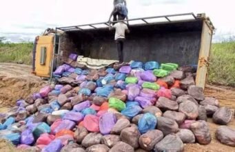 Gabon : le manioc en sachet réapparaît à Lebamba malgré l’interdiction, la sécurité alimentaire de nouveau en question