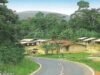 Gabon : un adolescent de 12 ans décède à l’hôpital après avoir affirmé avoir été mordu par un serpent