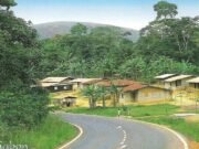 Gabon : un adolescent de 12 ans décède à l’hôpital après avoir affirmé avoir été mordu par un serpent