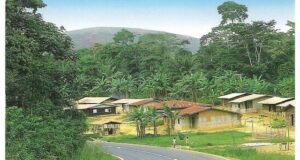 Gabon : un adolescent de 12 ans décède à l’hôpital après avoir affirmé avoir été mordu par un serpent